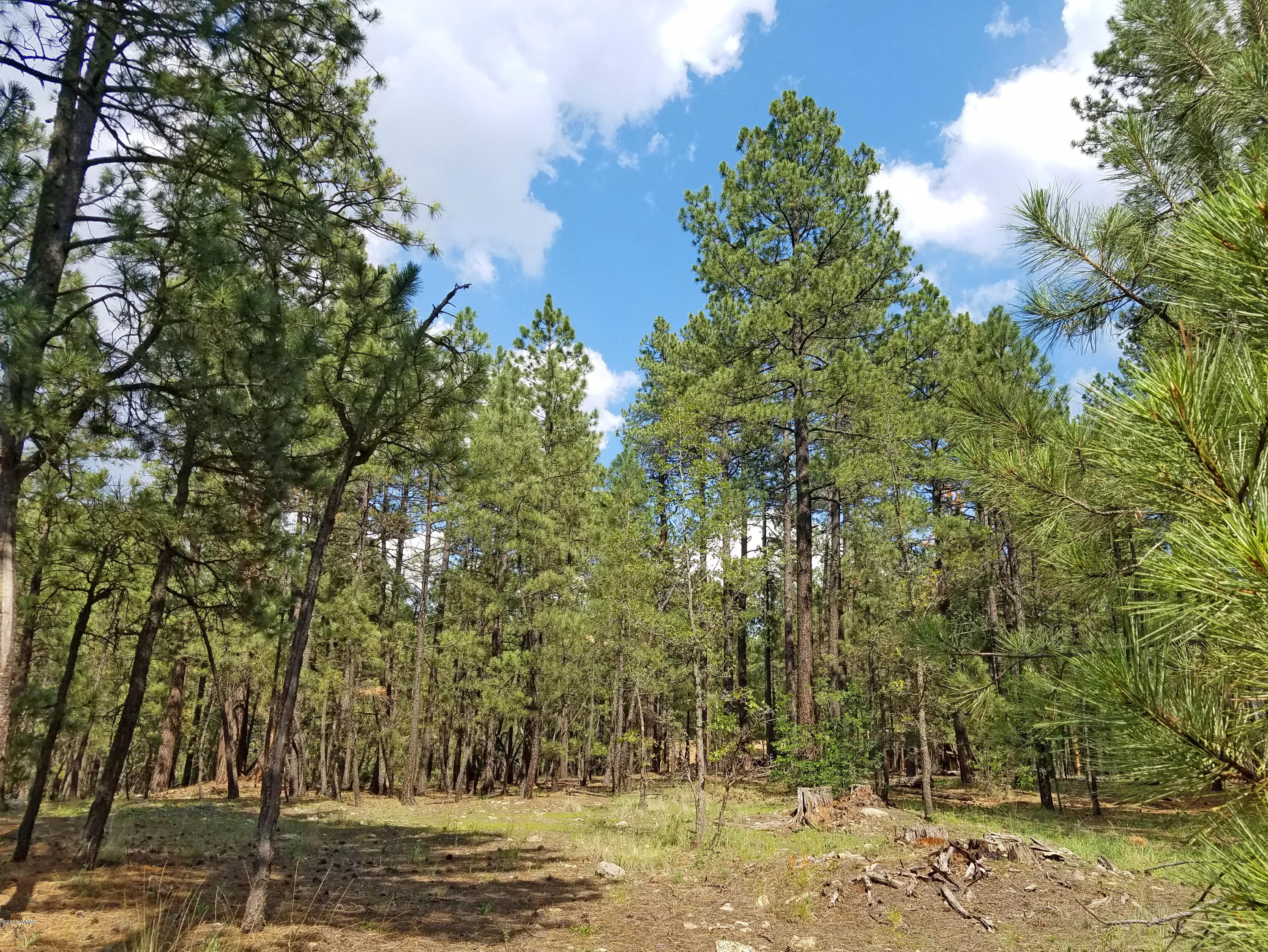 2086 Alpine Az 85920 Alpine, AZ 85920 - Photo 2 of 5