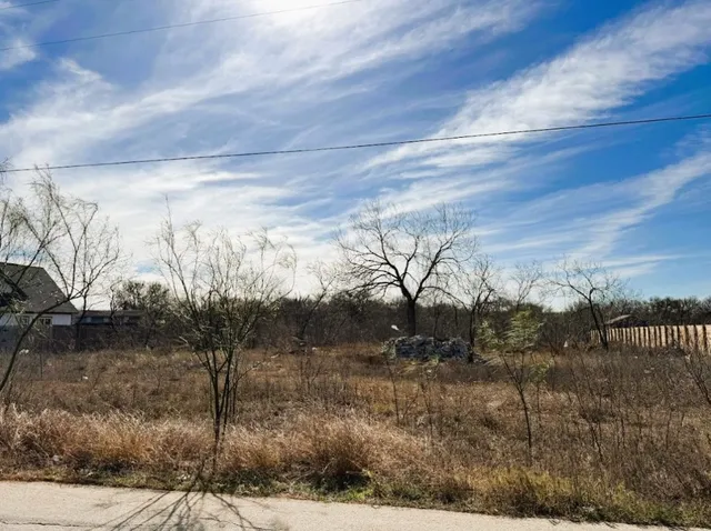 a view of a dry yard with trees