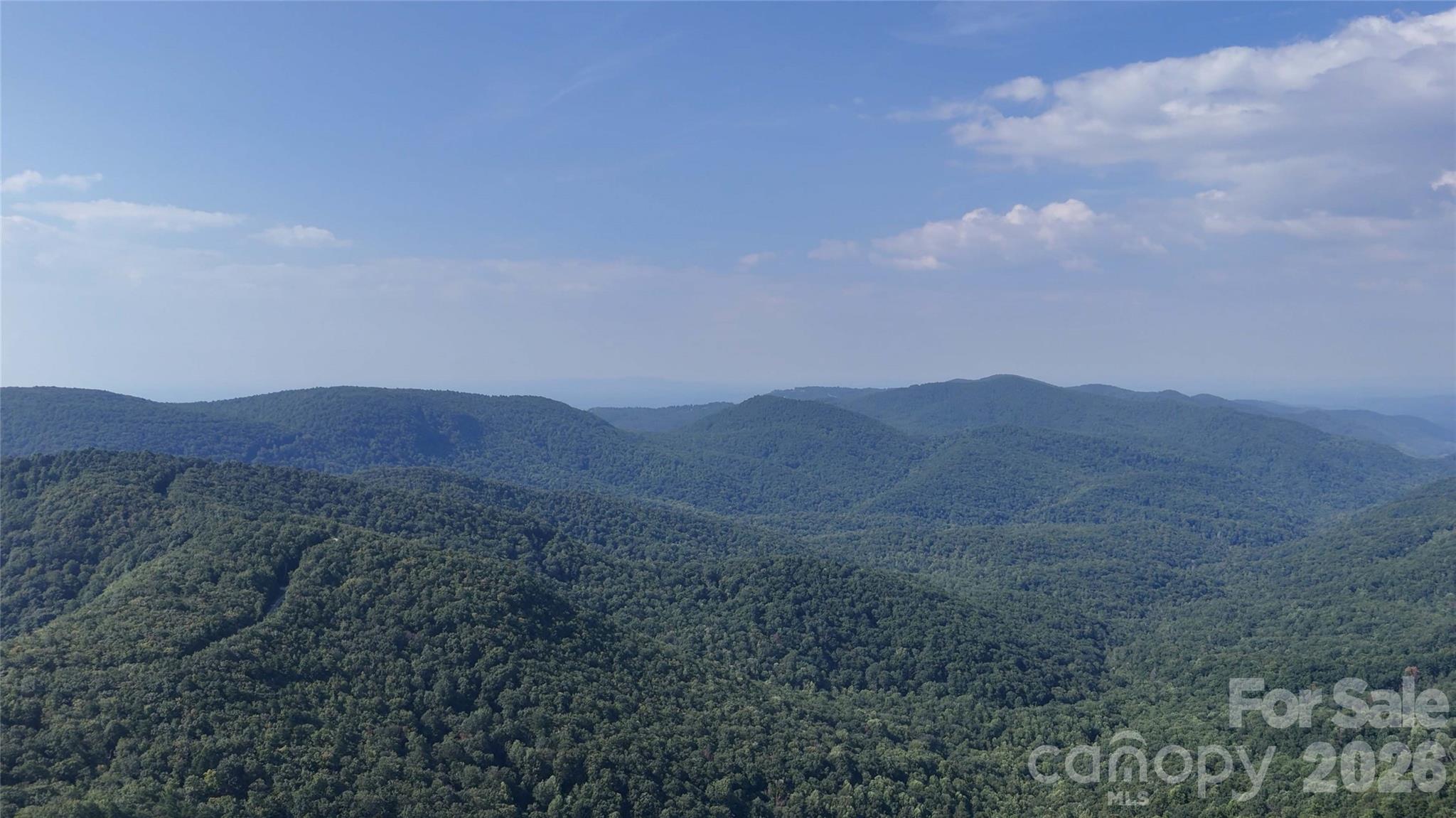 Lot 1 Hogback Mountain Road, Unit 1 Tryon, NC 28782 - Photo 1 of 22 Gallery Image 1
