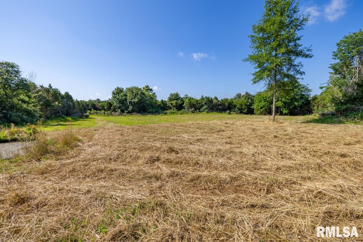 0 Tom Dick Hill Road Stonefort, IL 62987 - Photo 28 of 62