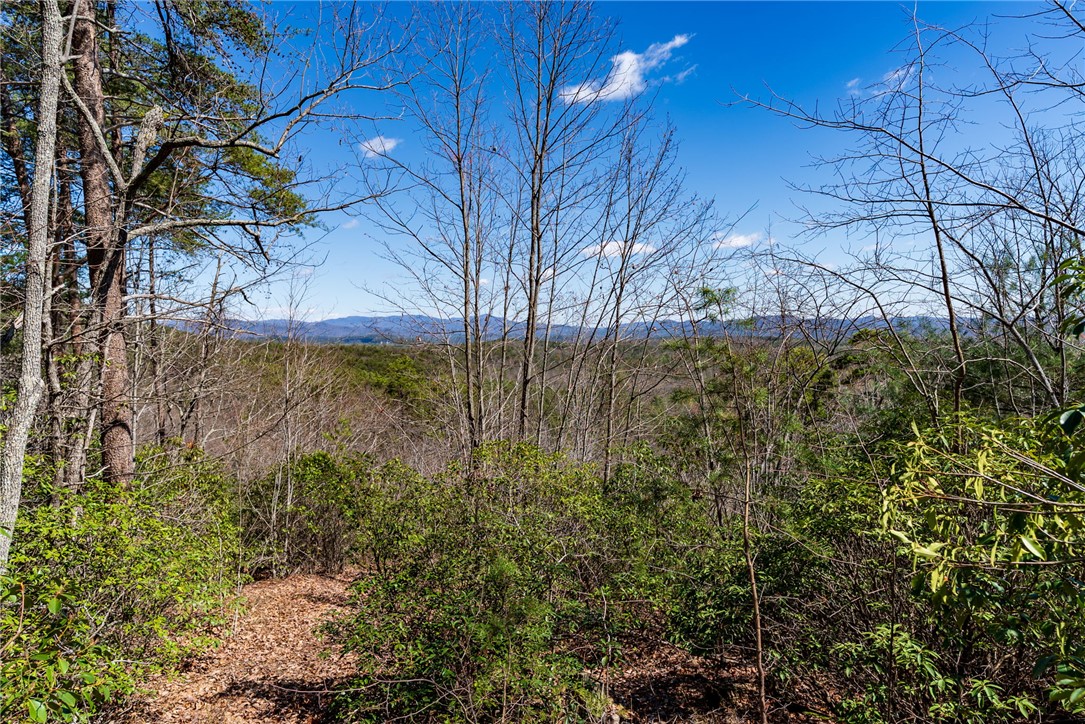 N30-n31 Jocassee Ridge Way Salem, SC 29676 - Photo 3 of 16