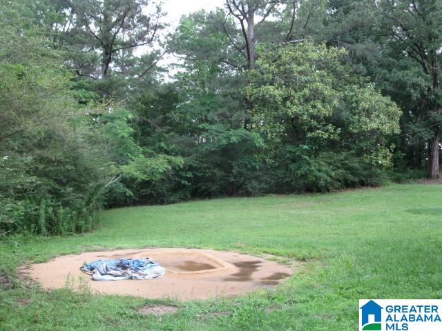 5652 Hicks Chapel Road Mount Olive, AL 35117 - Photo 5 of 24