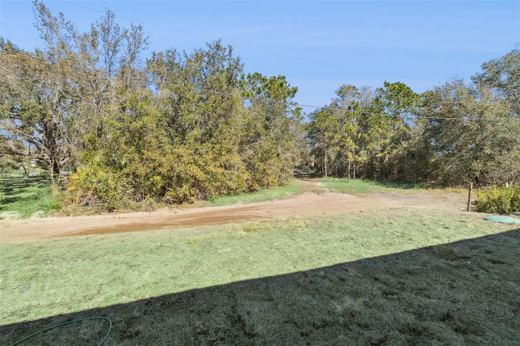 121 South Canoe Creek Road Kenansville, FL 34739 - Photo 38 of 54 a view of yard