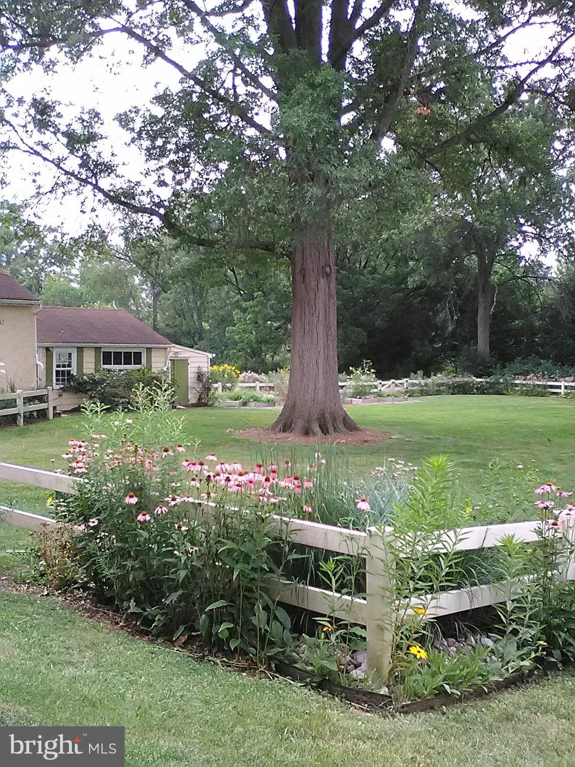 224 Noble Street Lititz, PA 17543 - Photo 49 of 63