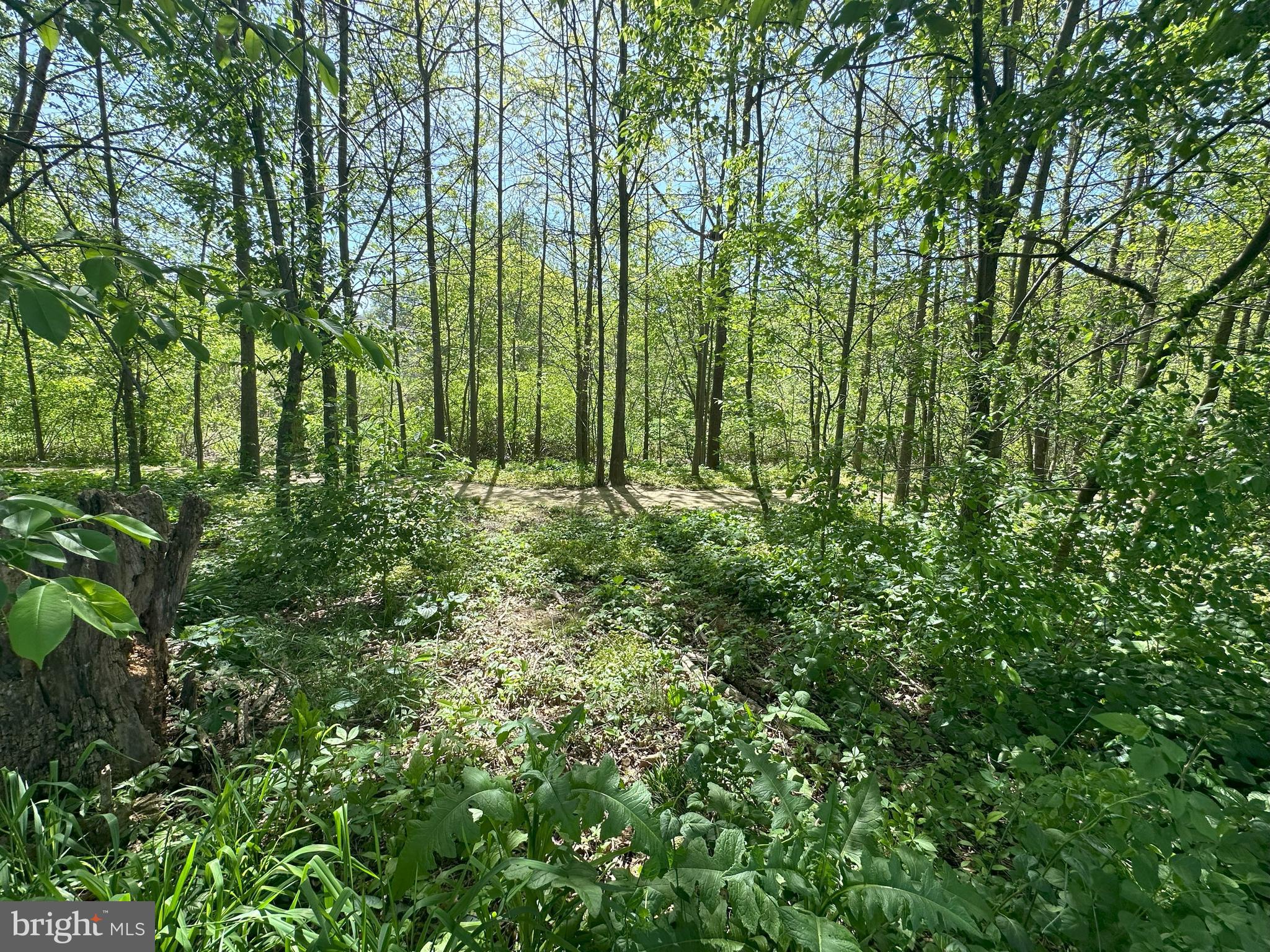 224 Noble Street Lititz, PA 17543 - Photo 50 of 63 walking trail behind house