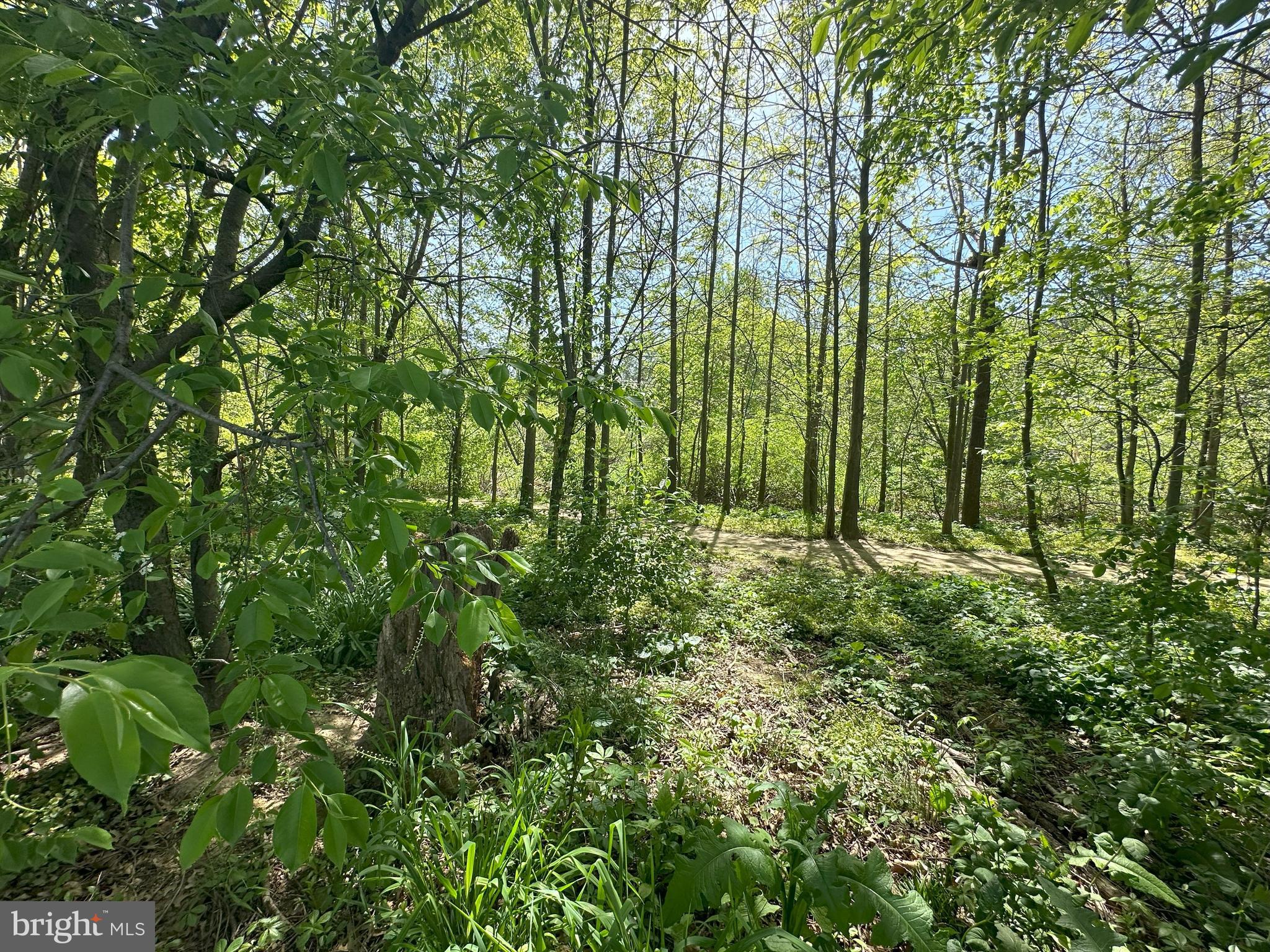 224 Noble Street Lititz, PA 17543 - Photo 51 of 63 walking trail behind house