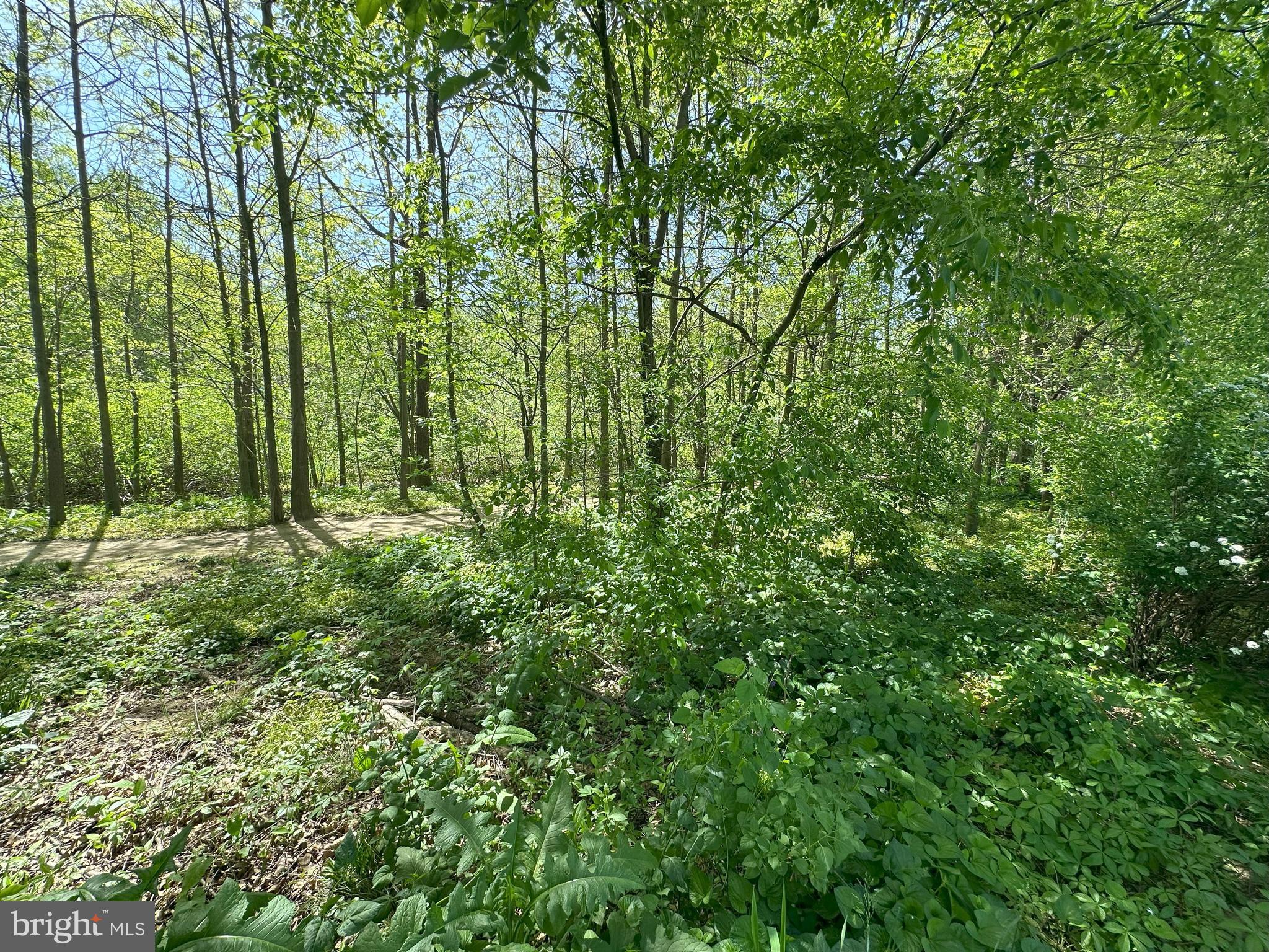 224 Noble Street Lititz, PA 17543 - Photo 52 of 63 walking trail behind house