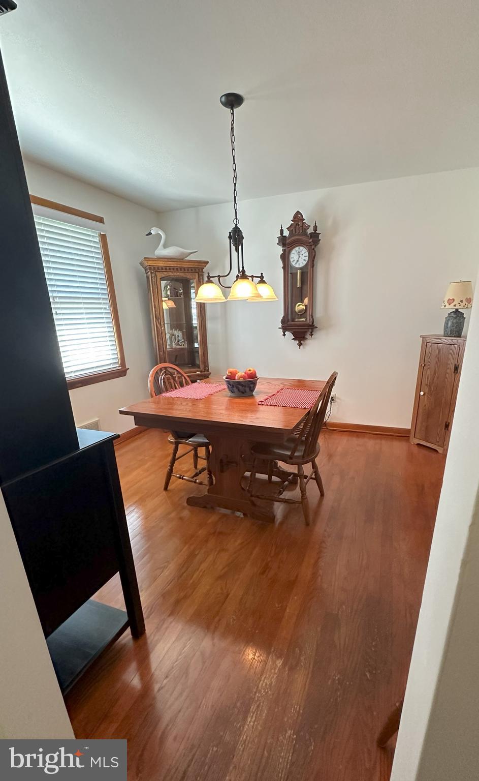 224 Noble Street Lititz, PA 17543 - Photo 10 of 63 dining room