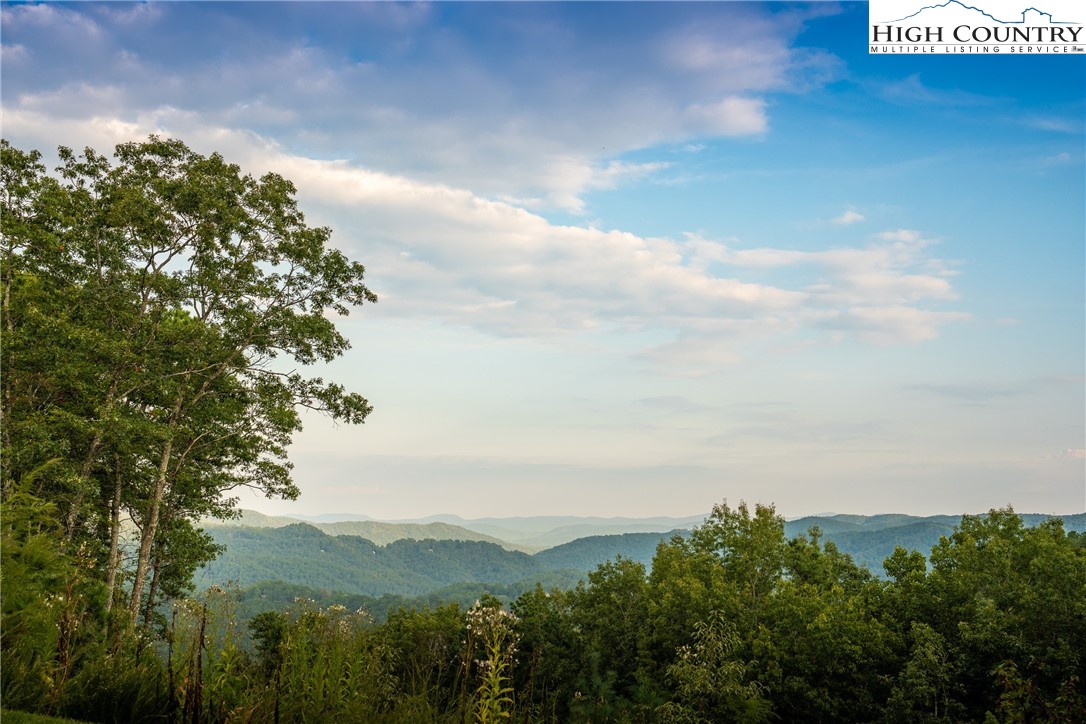 1628 Jumpseed Way Boone, NC 28607 - Photo 10 of 50 a view of a bunch of trees in the distance