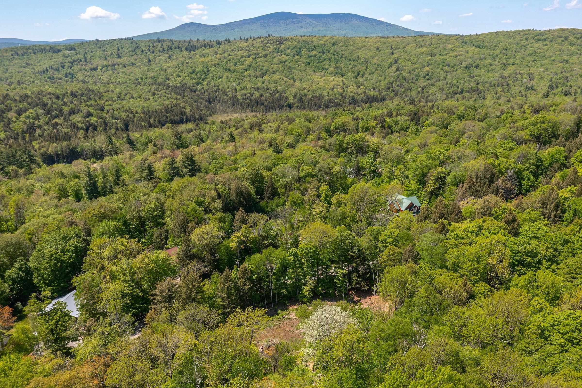 585 Sawmill Road West Wardsboro, VT 05360 - Photo 10 of 15
