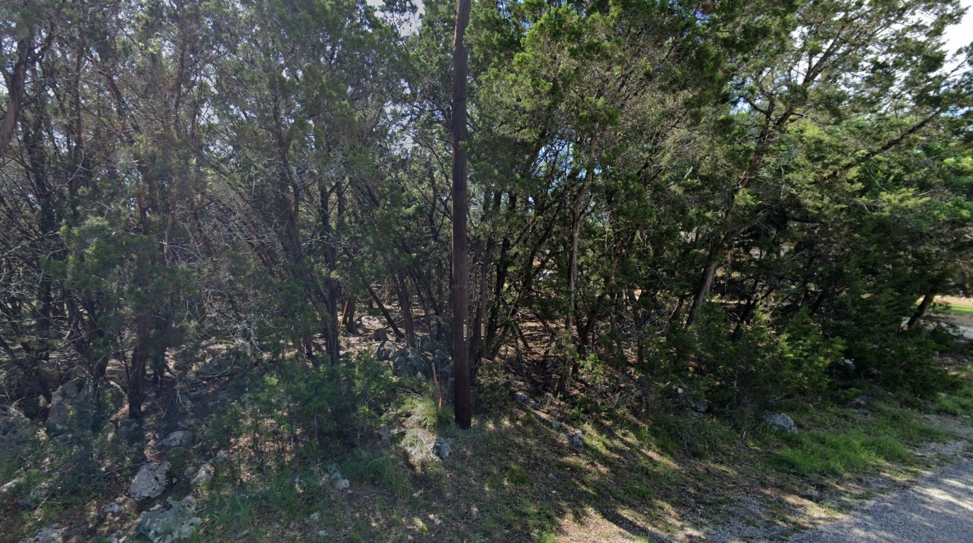 1720 Winding Creek Trail Spring Branch, TX 78070 - Photo 2 of 4 a view of forest