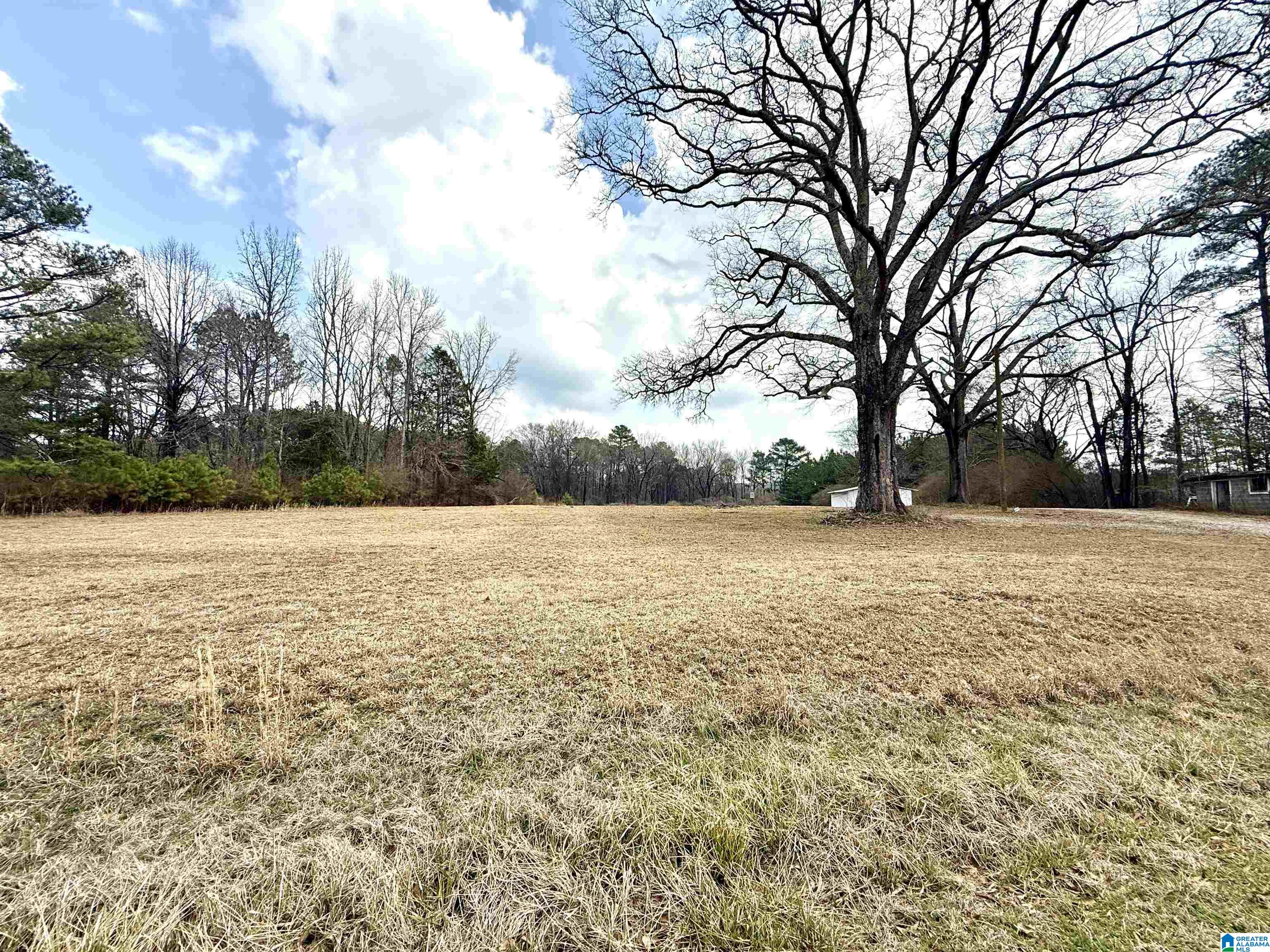 2671 Hay Valley Road, Unit TBD Parrish, AL 35580 - Photo 3 of 6