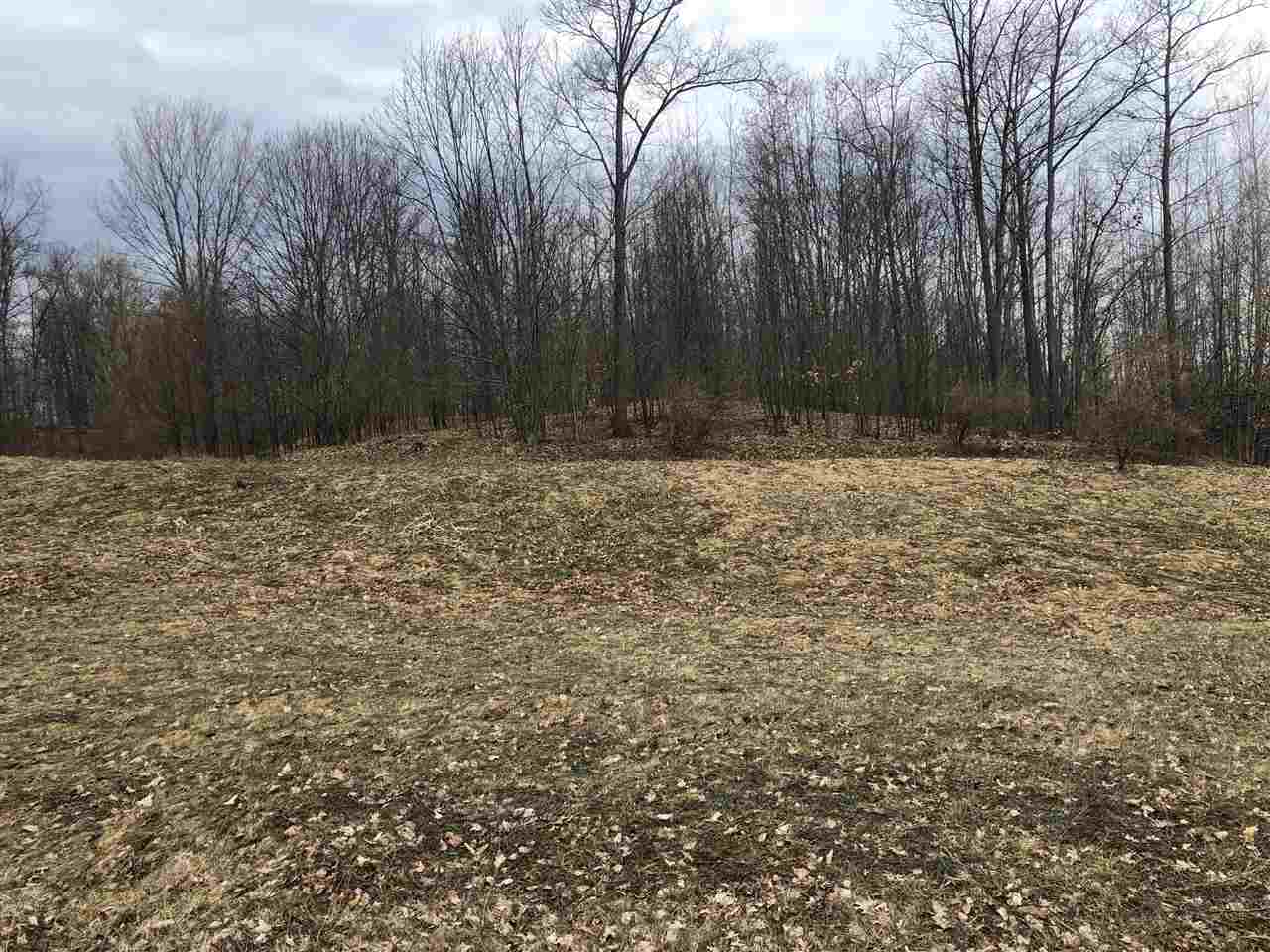 6348 Florey's Ranch Road Grawn, MI 49637 - Photo 4 of 4 1886049-4.JPG