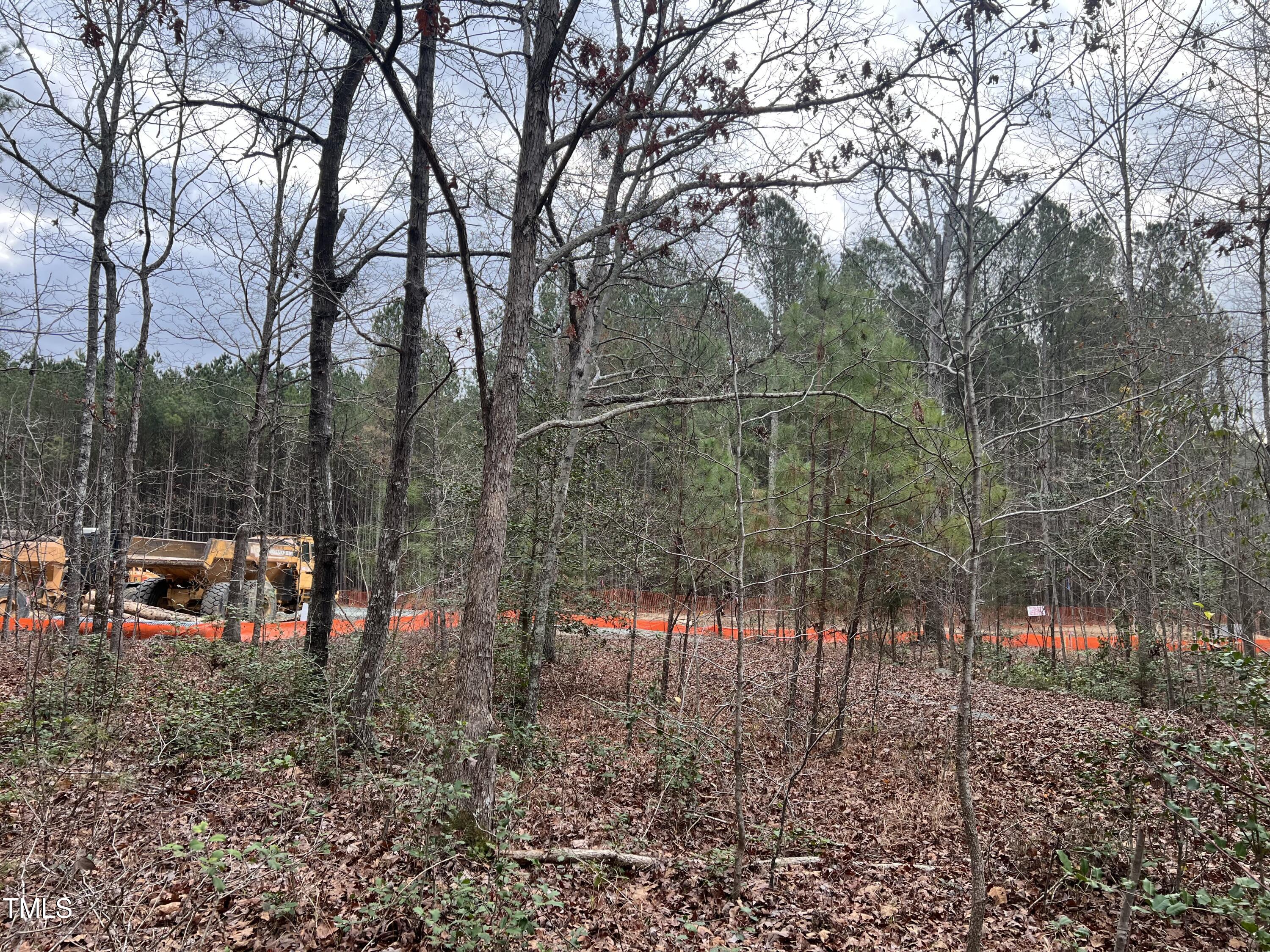 54 Anfield Road New Hill, NC 27562 - Photo 7 of 13 a view of park with large trees