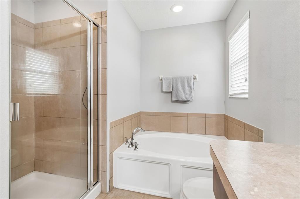 9421 Trumpet Vine Loop Trinity, FL 34655 - Photo 20 of 32