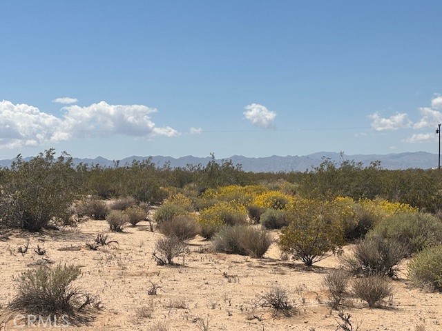 0 Daisy Lane Joshua Tree, CA 92252 - Photo 2 of 8 a view of a lake with a mountain