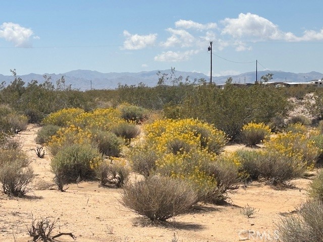 0 Daisy Lane Joshua Tree, CA 92252 - Photo 4 of 8 a view of a city