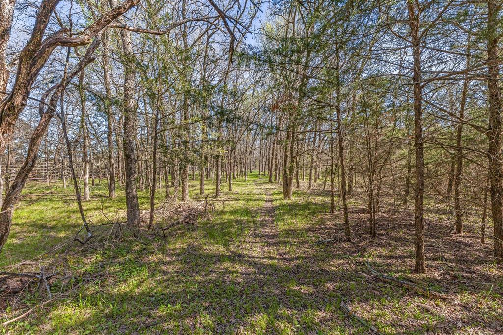 2525 Private Road 6040 Blue Ridge, TX 75424 - Photo 38 of 40 a view of yard with trees