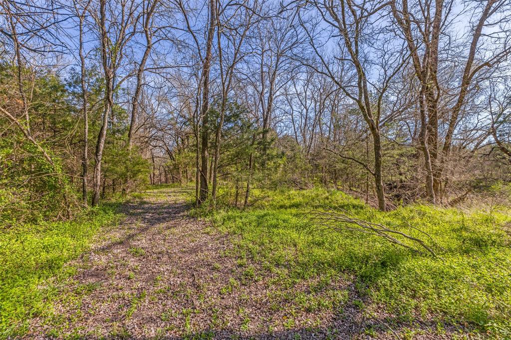 2525 Private Road 6040 Blue Ridge, TX 75424 - Photo 39 of 40 a view of backyard