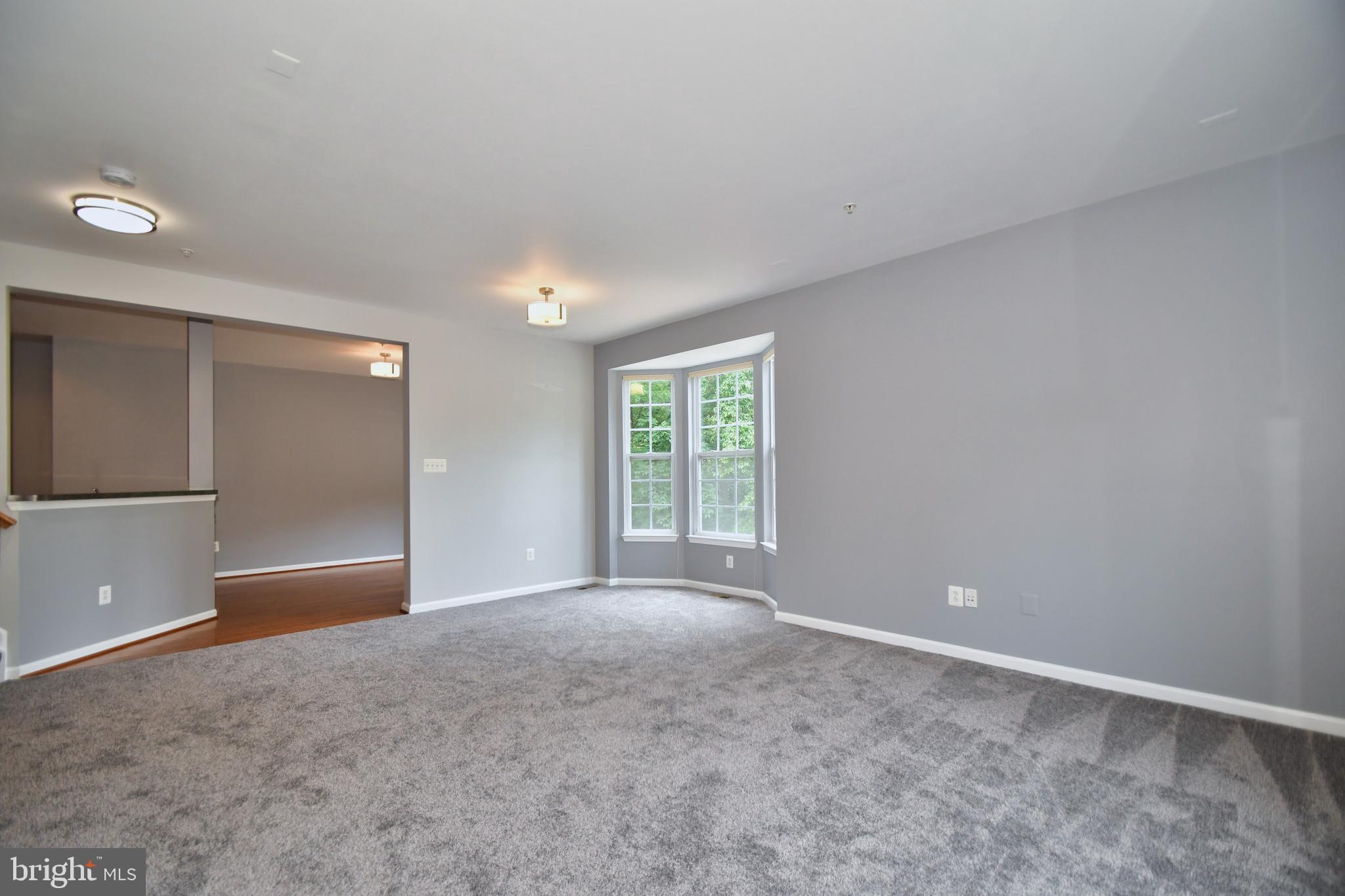 7199 Water Oak Road, Unit 152 Elkridge, MD 21075 - Photo 10 of 41 Living Room