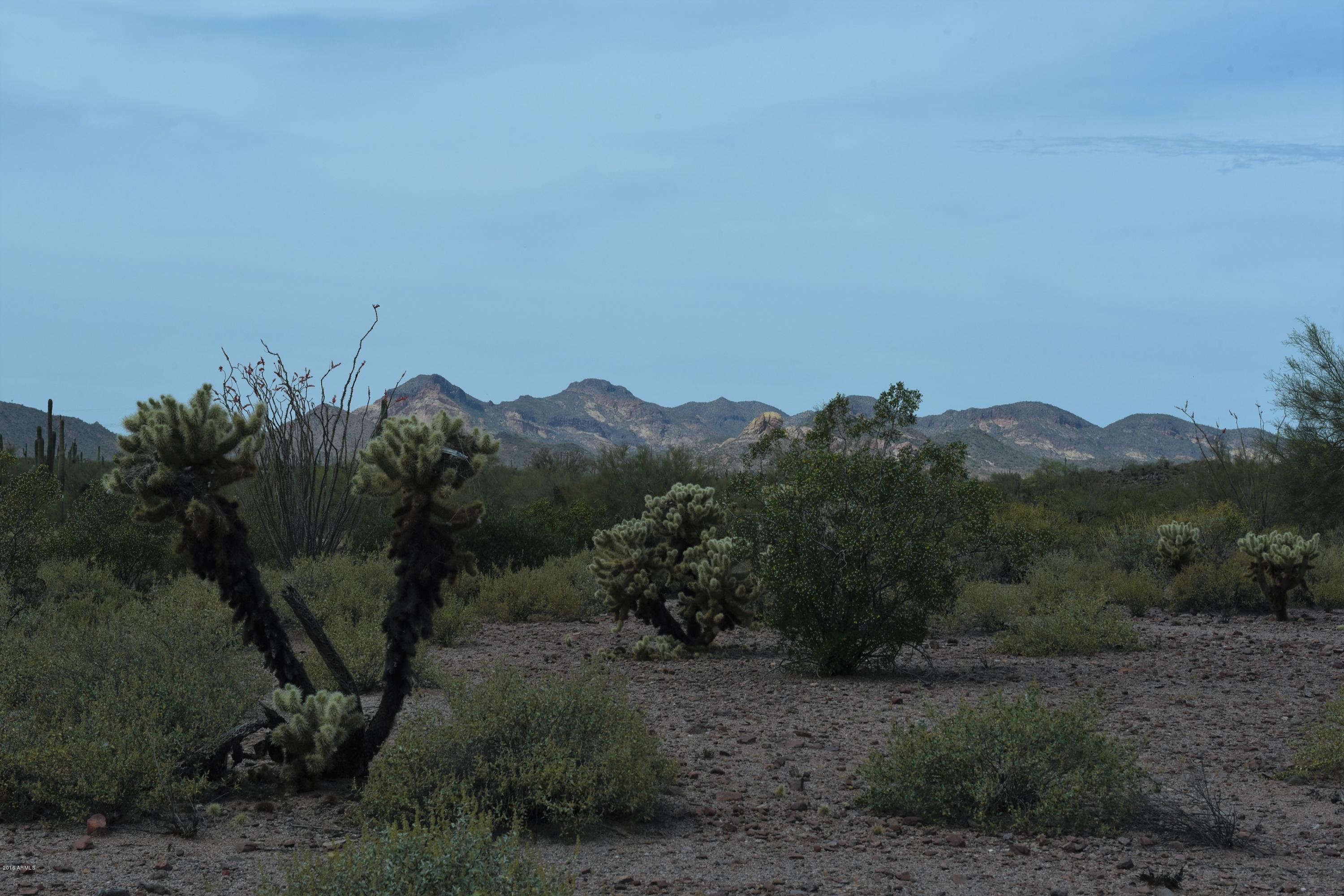 0 North Boyd Road Apache Junction, AZ 85119 - Photo 4 of 8 Goldfield Mountain views