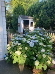 5 Wilde Road Wellesley, MA 02481 - Photo 31 of 37