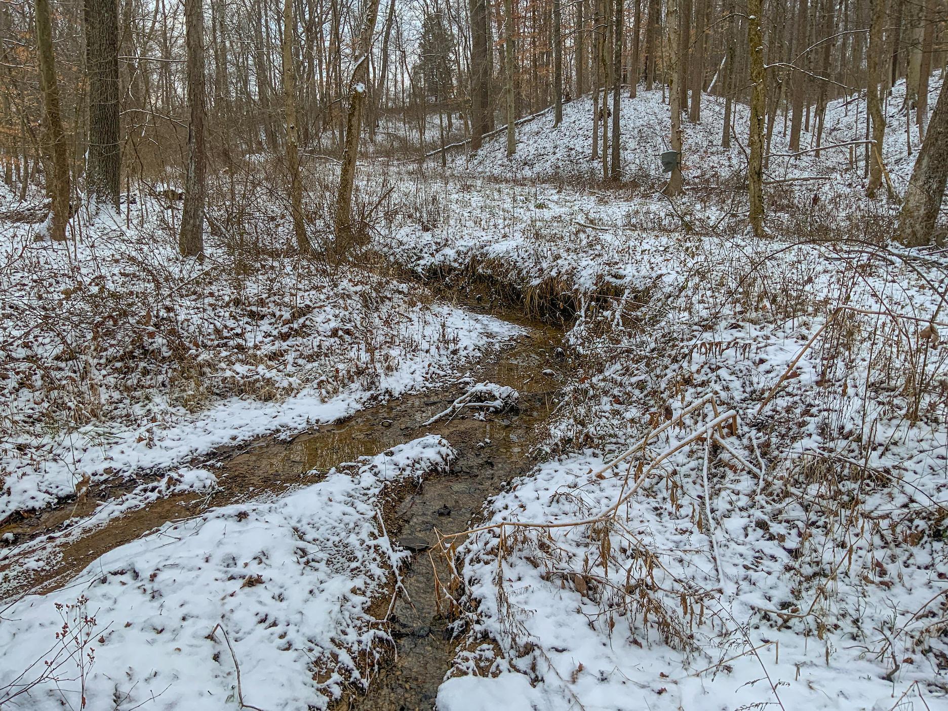 0 Buckeye Ridge Road Chesterhill, OH 43728 - Photo 13 of 27