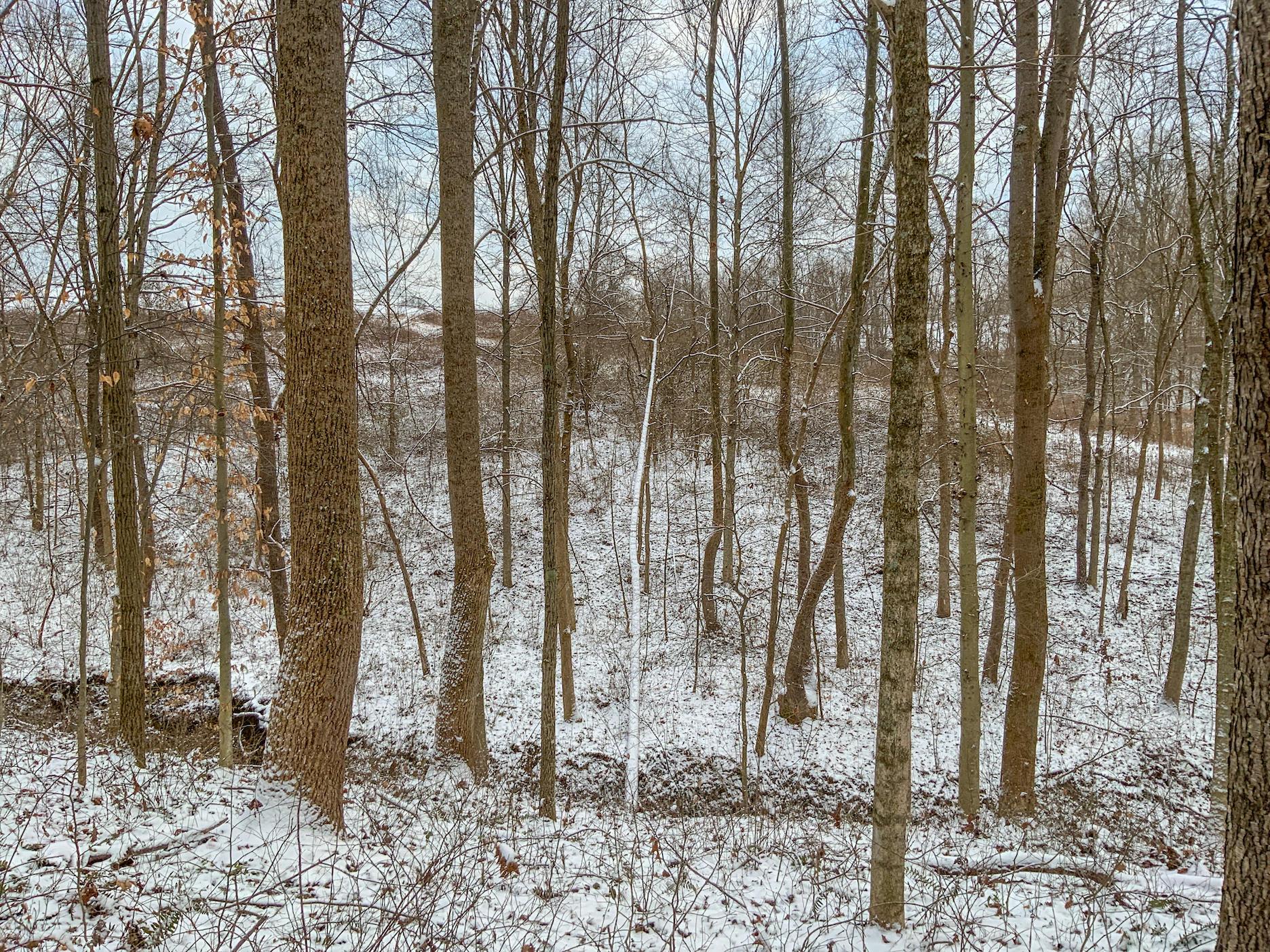 0 Buckeye Ridge Road Chesterhill, OH 43728 - Photo 17 of 27