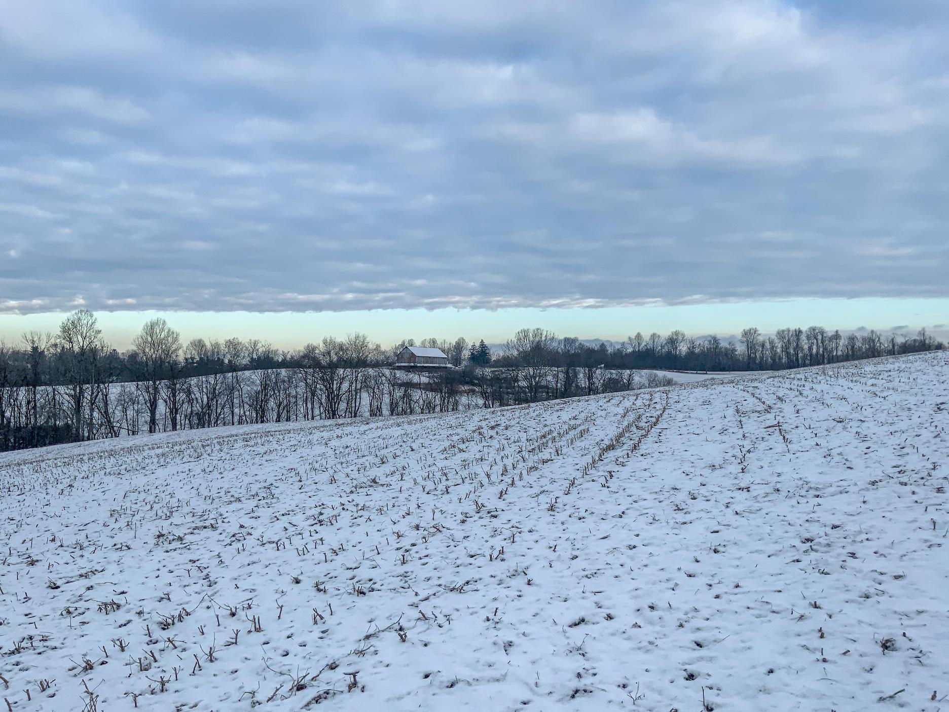 0 Buckeye Ridge Road Chesterhill, OH 43728 - Photo 26 of 27