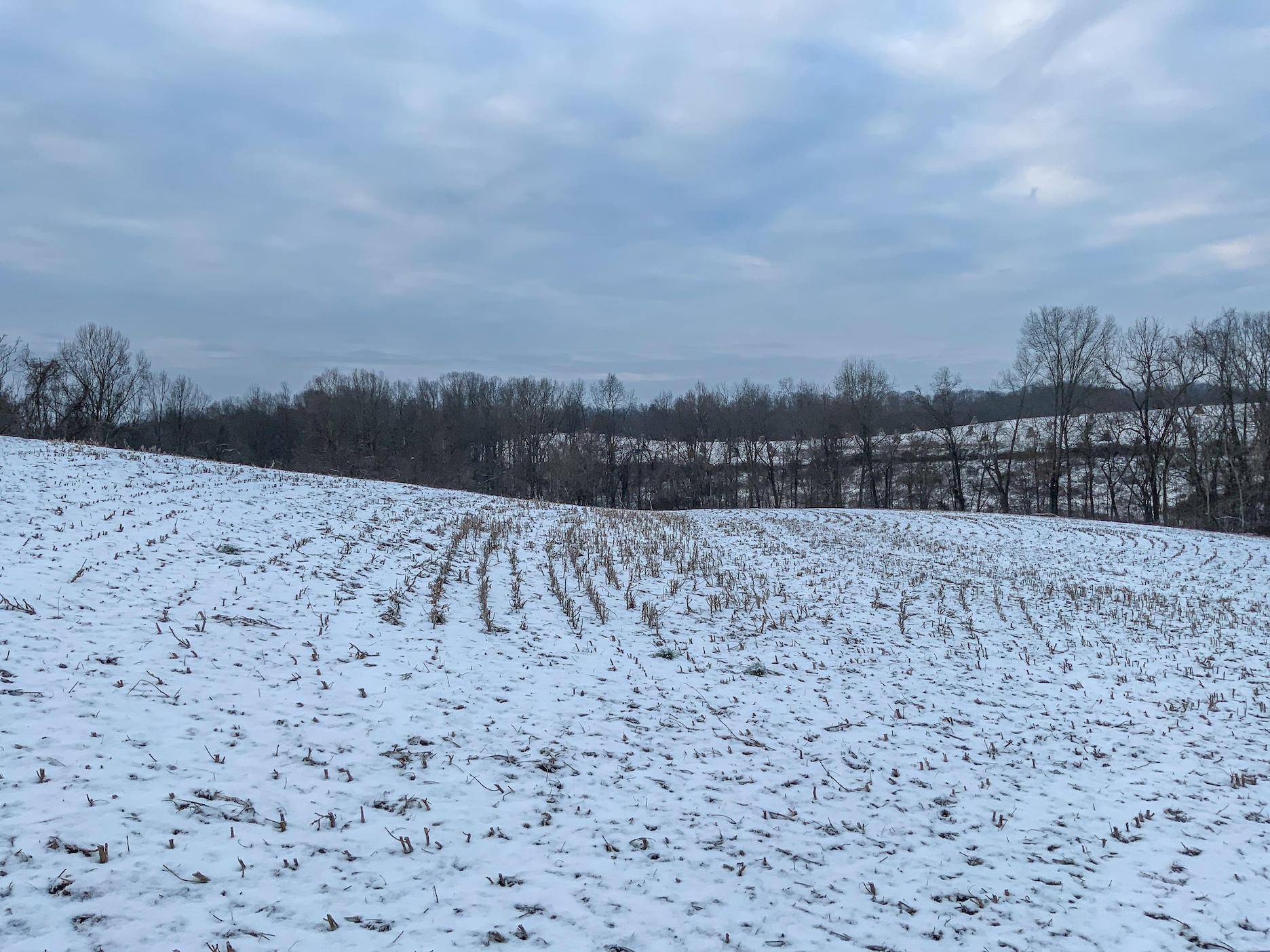 0 Buckeye Ridge Road Chesterhill, OH 43728 - Photo 5 of 27