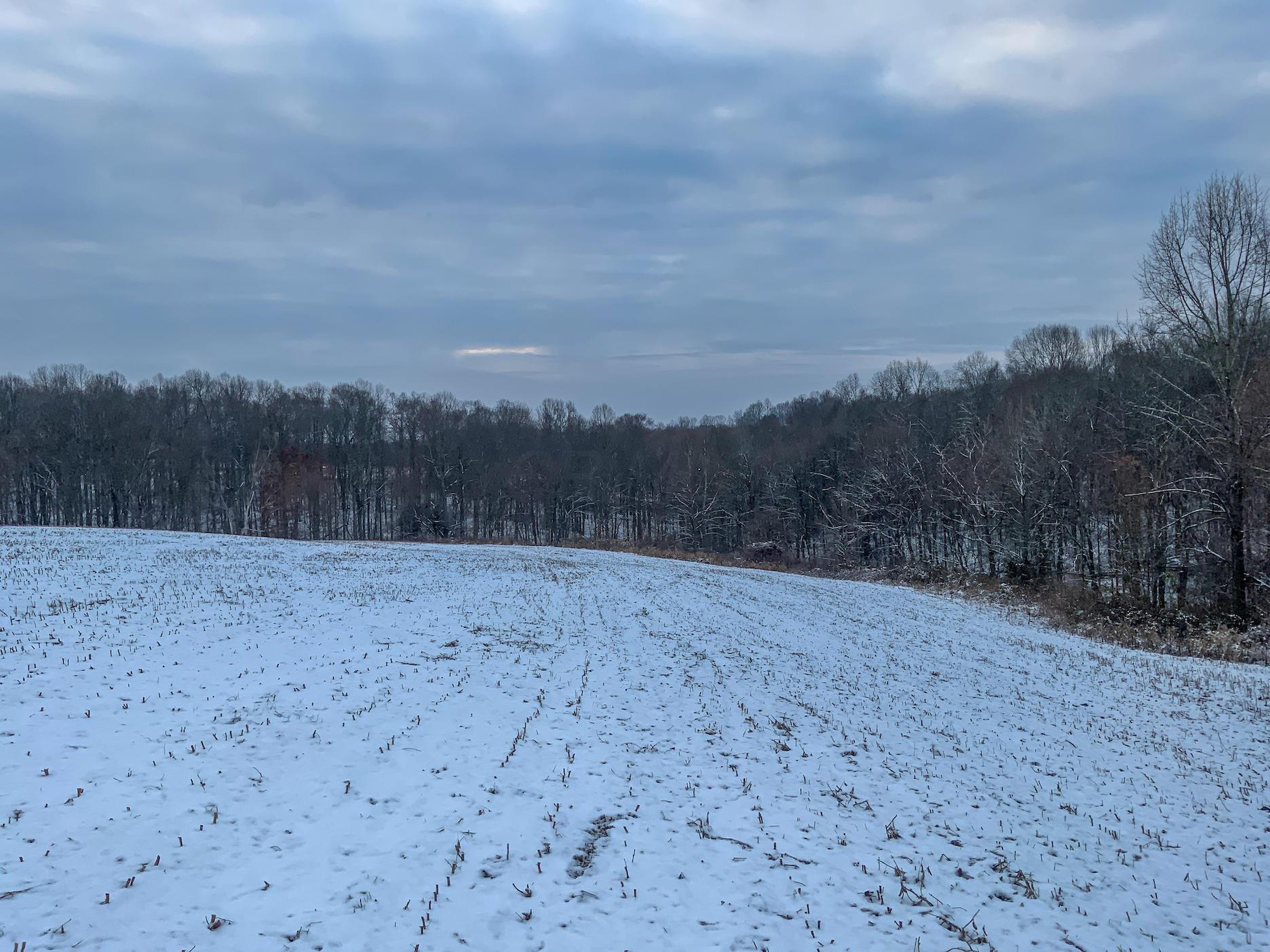 0 Buckeye Ridge Road Chesterhill, OH 43728 - Photo 9 of 27