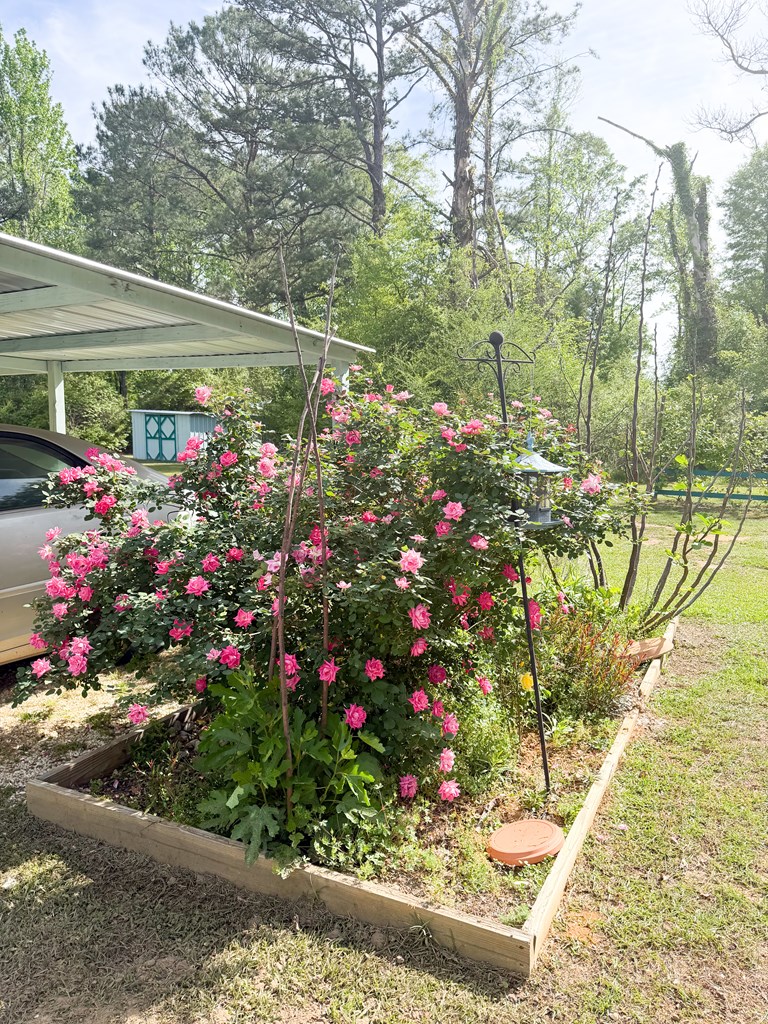 505 Horseshoe Road Brewton, AL 36426 - Photo 31 of 40