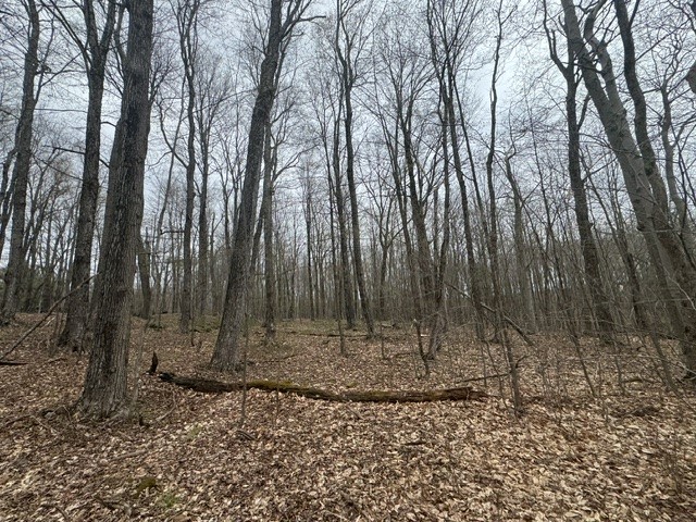 Lot 4 Shaver Hill Road Meridale, NY 13806 - Photo 33 of 44