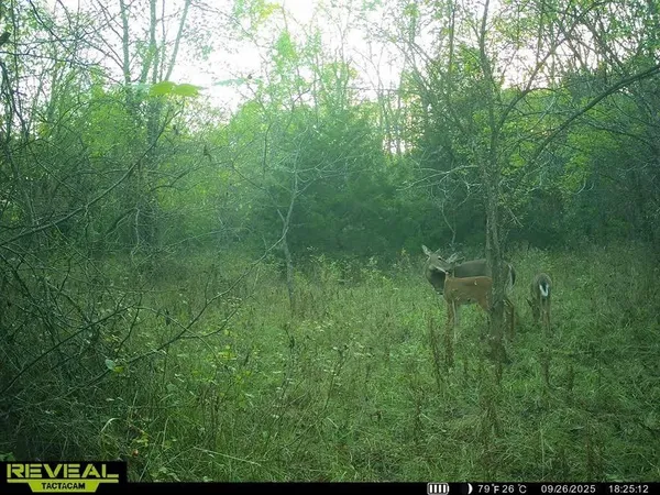 $580,000 | Tract A Shaw School Road, Odessa, MO 64076