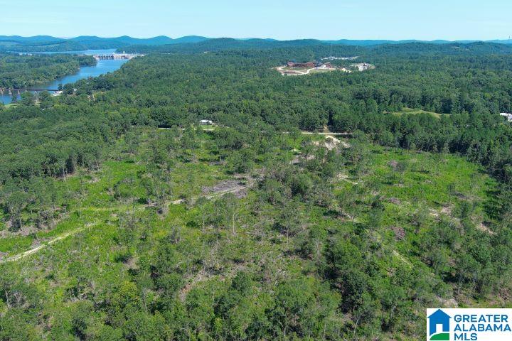 209 Harts Ferry Road, Unit 3 Ohatchee, AL 36271 - Photo 18 of 24