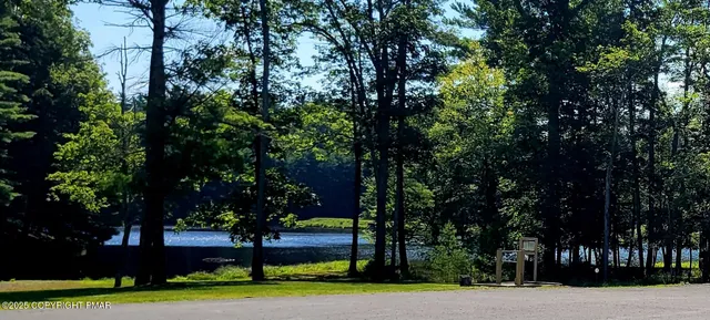 a view of a park with large trees