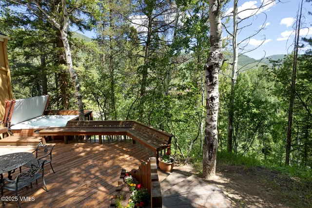 a view of a large yard with plants and large trees