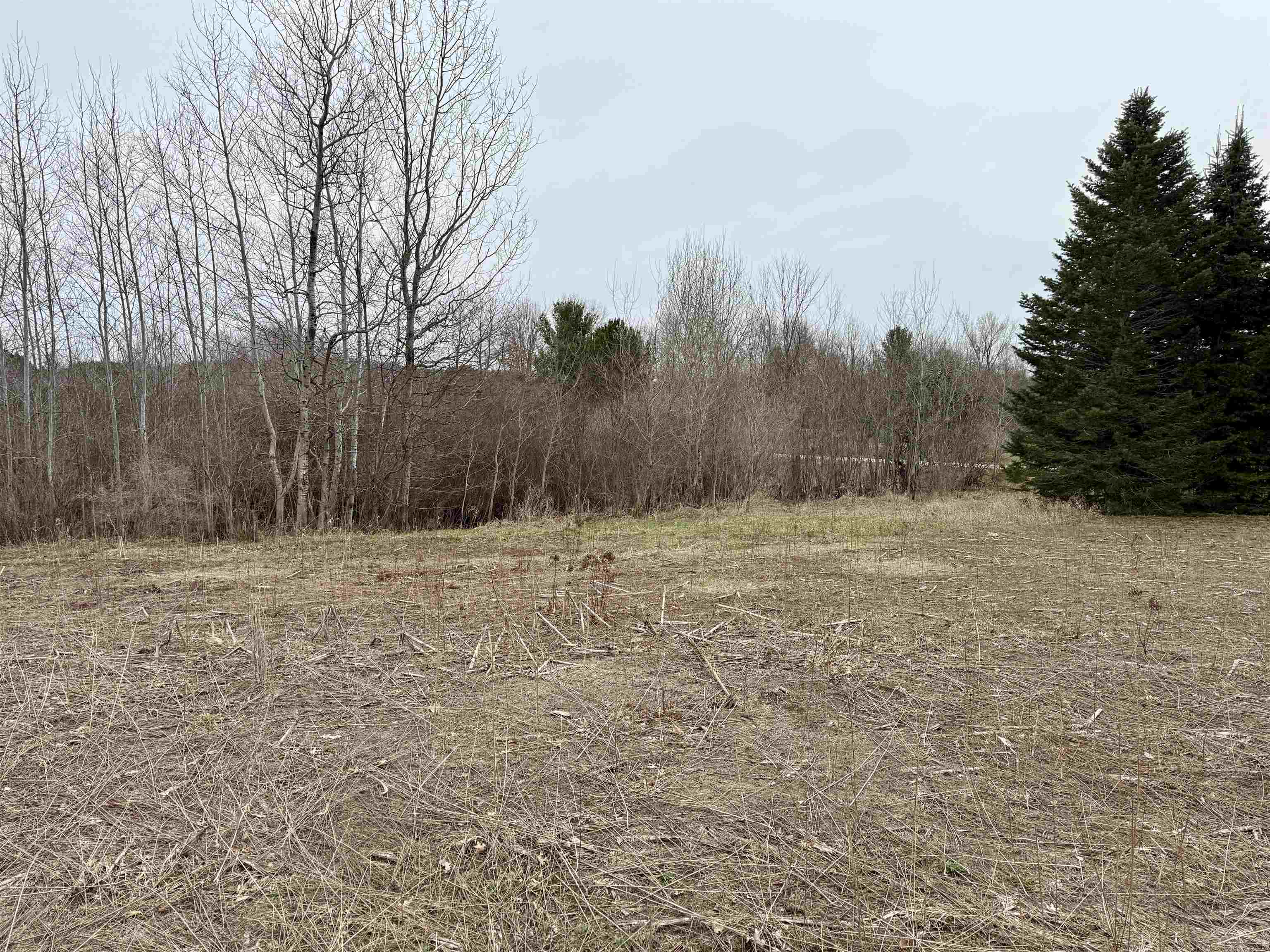 Gleaner Hall Road Kingsley, MI 49649 - Photo 1 of 21
