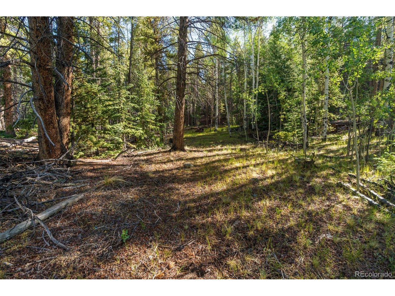 1 Snow Cap Peaks Road Fairplay, CO 80440 - Photo 15 of 20