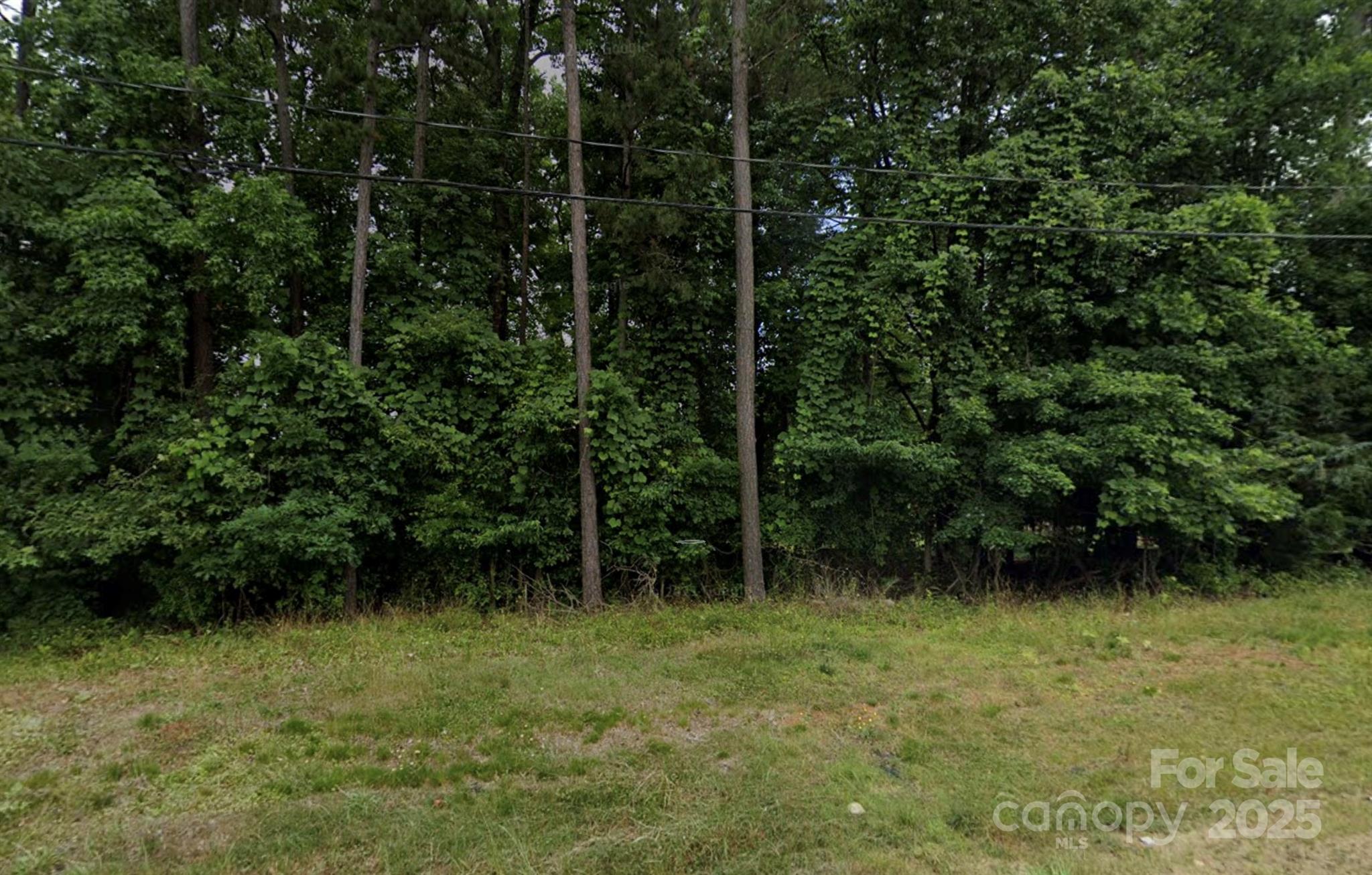 16542 Thompson Road Mint Hill, NC 28227 - Photo 3 of 3 a view of outdoor space and garden