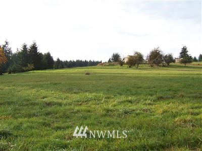 359 B West Hale Road Winlock, WA 98596 - Photo 1 of 1