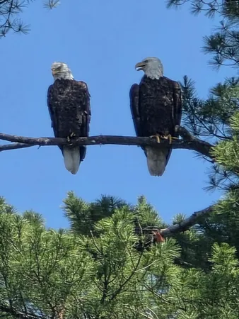 $149,900 | 426 Martin Road, Sinclair, ME 04779