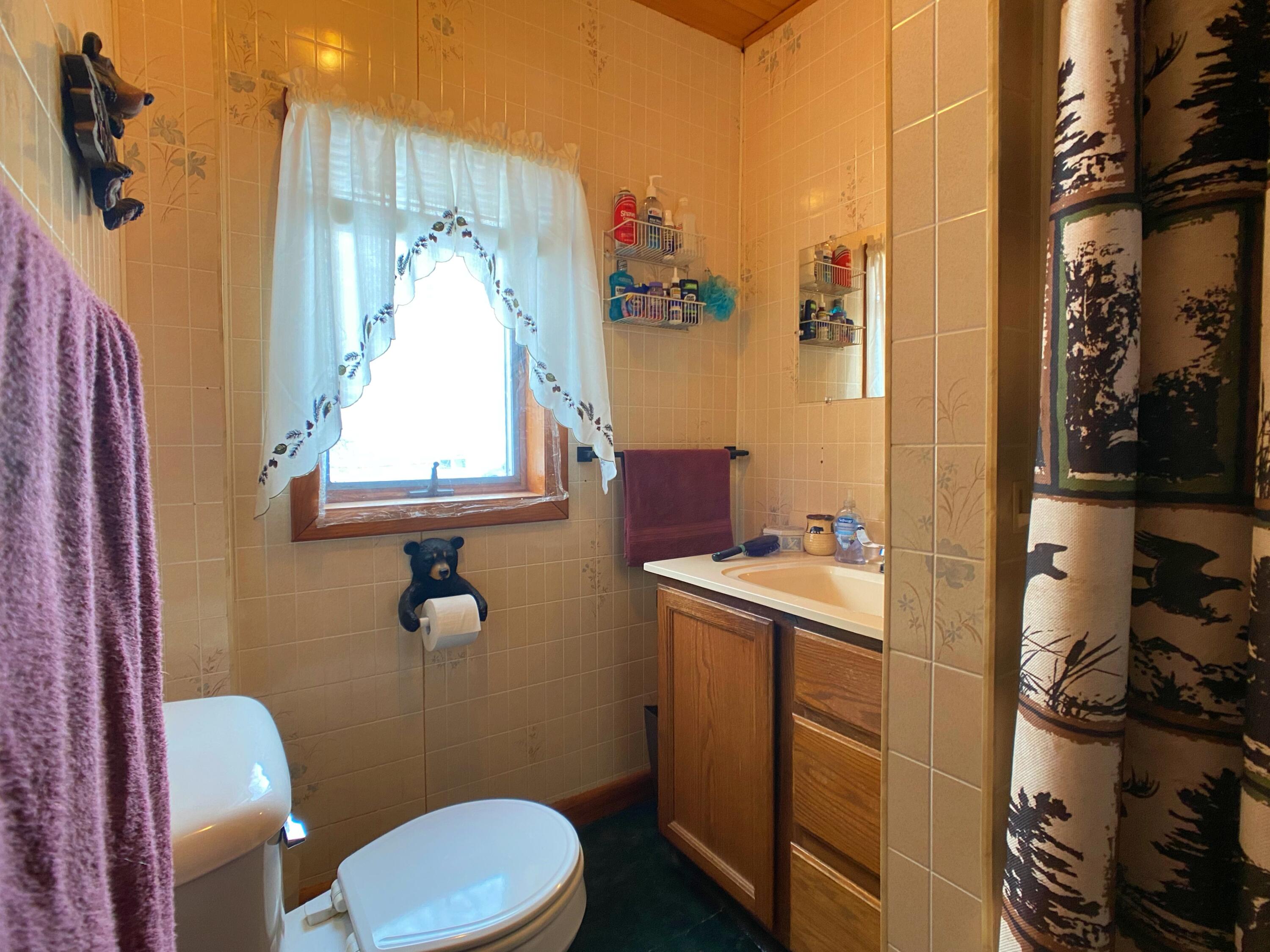 426 Martin Road Sinclair, ME 04779 - Photo 10 of 21 DenisIMG_9320