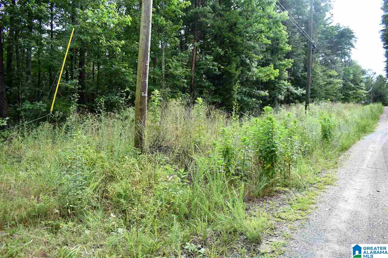 0 Pine View Road Remlap, AL 35133 - Photo 1 of 8
