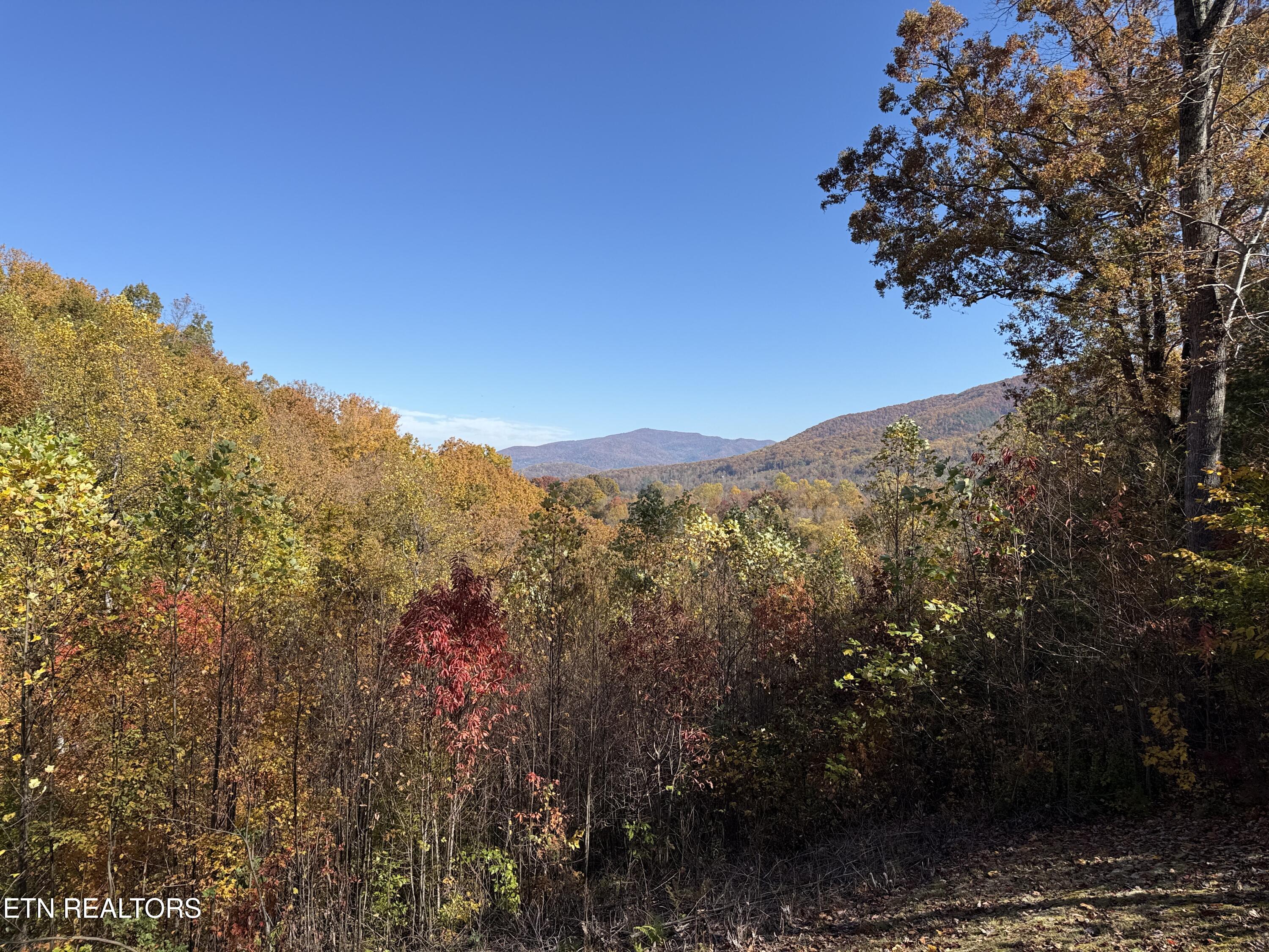 414 Gold Road Cosby, TN 37722 - Photo 54 of 58 414 Gold Rd. pic. 5