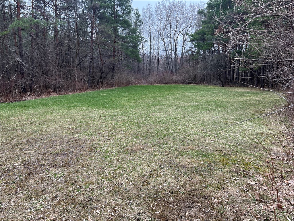2985 Tom Campbell Road Jerusalem, NY 14418 - Photo 11 of 43