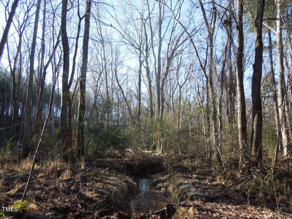 Tbd Macon-Embro Road Macon, NC 27551 - Photo 28 of 29 DSCN7222