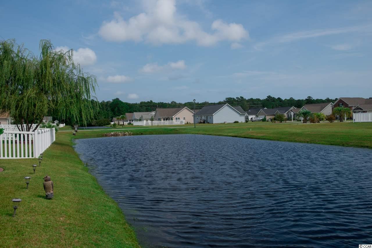 309 St Patties Loop Murrells Inlet, SC 29576 - Photo 23 of 25 Gallery Image 23