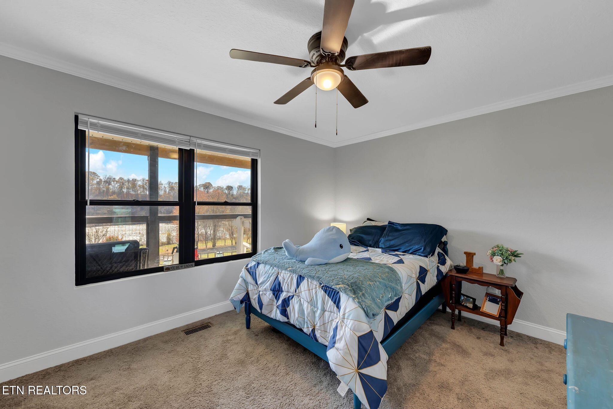 1227 Holston Shores Drive Rutledge, TN 37861 - Photo 20 of 50 13-web-or-mls-1227 Holston Shores Dr Rut