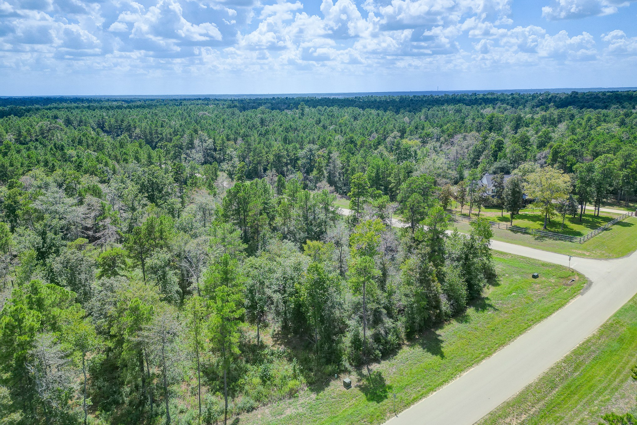 10692 Ruger Road Willis, TX 77378 - Photo 21 of 23 Gallery Image 21